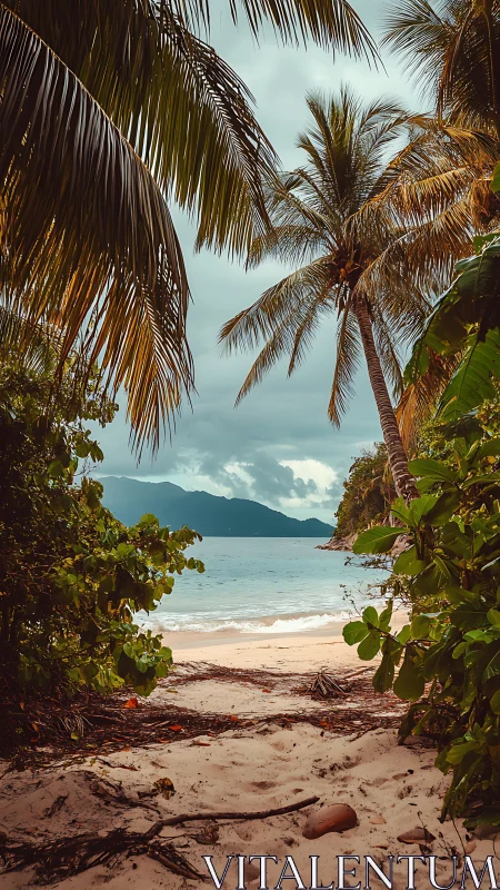 Tropical Beach Cove Framed by Coconut Palms and Mountain Vista