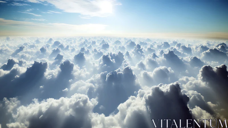 Sunlit cloudscape with dense cumulus layer viewed above.