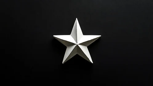 Sharp-edged white star resting in velvety black silence.