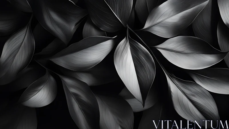 Monochrome botanical leaves form layered abstract surface