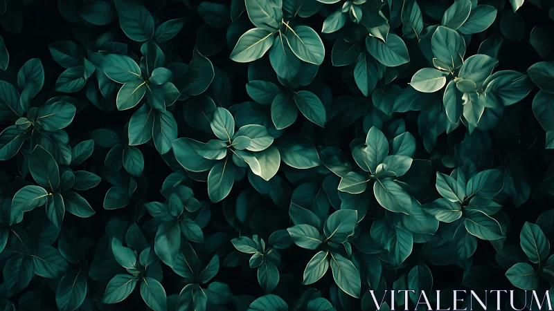 Emerald foliage canopy with soft vignette and tonal depth.