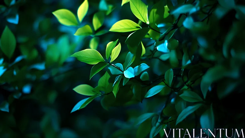 Green leaves are illuminated by directional blue-toned light