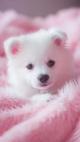 High-key portrait of white puppy on diffuse pink fleece field.