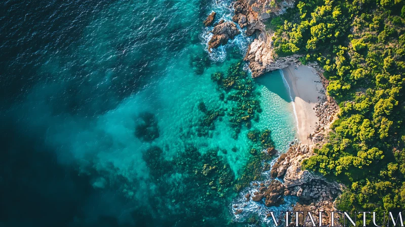 Coastal Cove: Turquoise Waters Meet Mediterranean Forest.