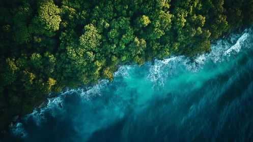 Emerald Embrace Meets Turquoise Edge.