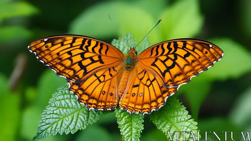 Flame-winged forest butterfly poised on emerald leaves.