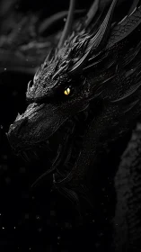 Midnight obsidian dragon with ember-gold hunting eye.