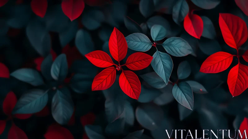 Macro botanical study of red foliage against teal leaves