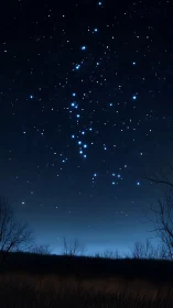 Digital night sky panorama with winter treeline silhouette.