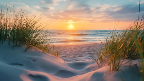 Coastal sand dunes with grass framing a calm ocean sunset.
