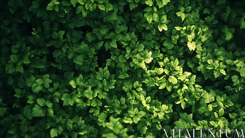 Photorealistic overhead study of dense verdant foliage.