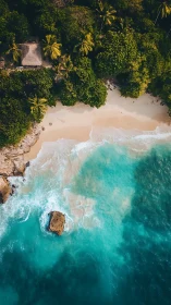 Turquoise Eden: Where Jungle Whispers Kiss the Surf.