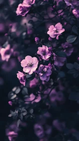 Purple Blossoms in Shadow Garden.