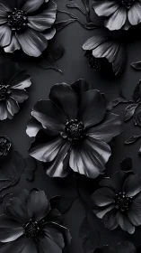 Monochromatic Cosmos Flowers: High Contrast Botanical Still Life Composition