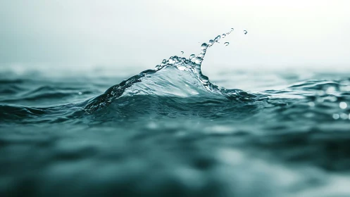 Macro water splash crest with teal-toned liquid textures.