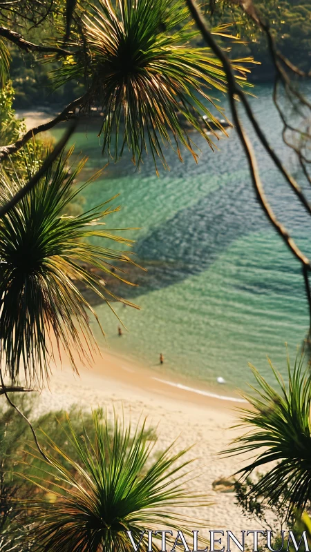 Emerald Waters Whisper Through Shadowed Palm Fronds