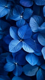 Monochromatic hydrangea leaf cluster in cobalt macro study.
