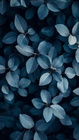 Moody teal foliage pattern in soft photographic focus.