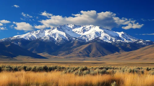 Snowcrowned range under cobalt skies and golden prairie hush.