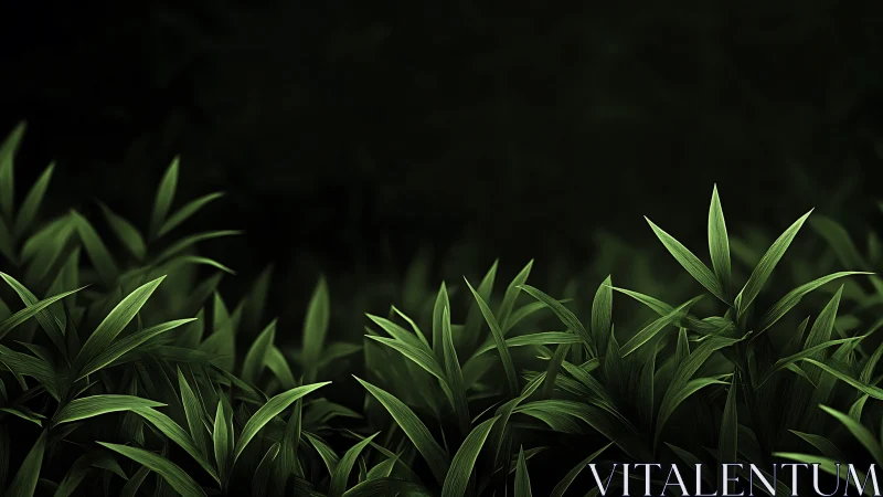 Emerald bamboo leaves under deep shadowed forest light.