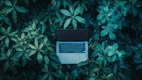 Laptop computer placed in dense green foliage outdoors.