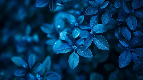 Moonlit blue leaves sparkling softly after gentle rain.