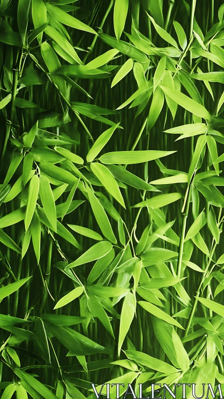 Lush bamboo foliage layered in dense vertical rhythm.