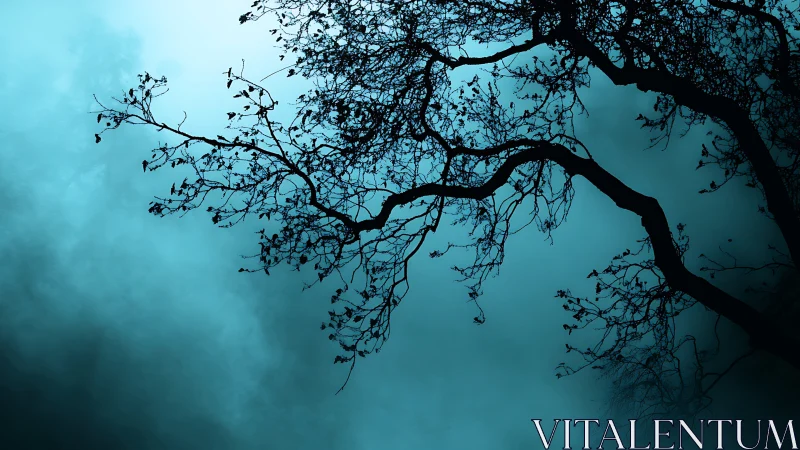 Silhouette of Bare Tree Branches Against Misty Blue Night Sky.