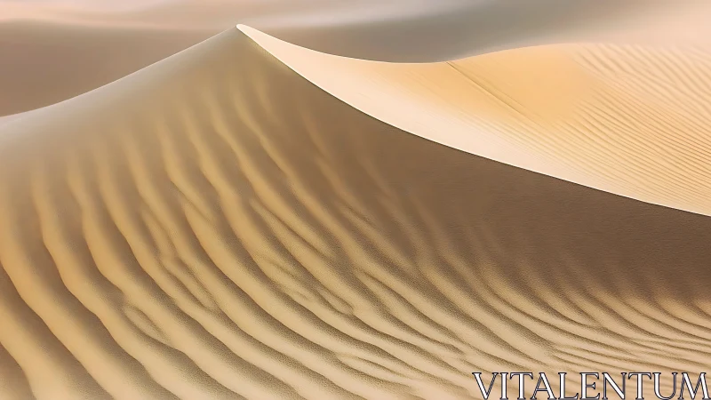 Wind-sculpted desert sand dune with flowing linear ridges