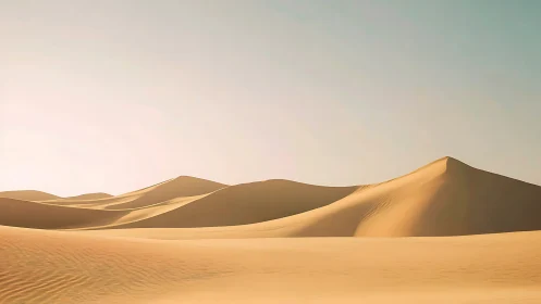 Sunlit desert sand dunes under clear pale sky horizon.