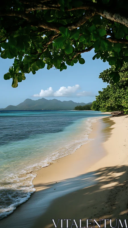 Tropical Beach Cove with Coastal Vegetation and Mountain Backdrop