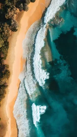 Sunlit turquoise waves roll onto a secluded golden shoreline