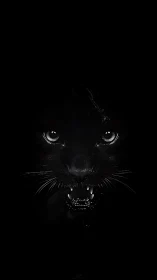 Predatory black panther emerging from shadowed void.