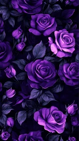 Stunning Purple Roses Bloom in Rich Darkness.