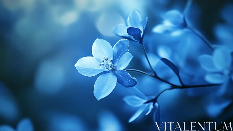 Delicate Blue Blooms in Serene Moonlight.