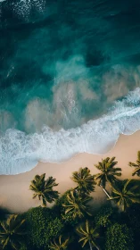 Tropical shoreline aerial with turquoise surf and palms.