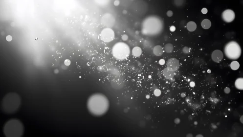 Ethereal Light and Floating Dust Particles in Monochrome Style.