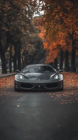 Sleek sports car slices through a moody, leaf-strewn autumn lane