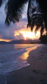 Tropical shoreline at dusk with palm silhouettes and tidal glow