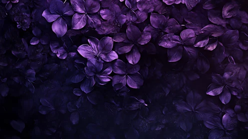 Violet hydrangea petals form dense luminous floral texture