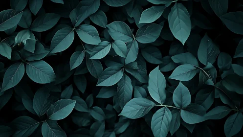 Moody teal foliage pattern with overlapping leaves texture.