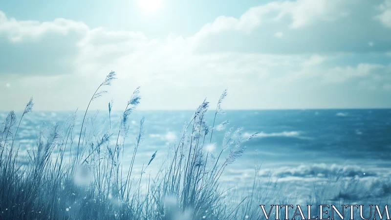Gentle sea breeze drifting through sunlit coastal grass.
