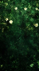 White flowers lie scattered on dense dark green foliage