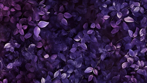 Irradiated violet foliage forms dense monochromatic canopy