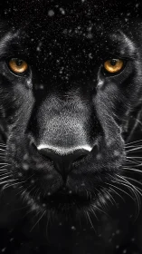 Black Panther Face Study with Golden Eyes and Stellar Background