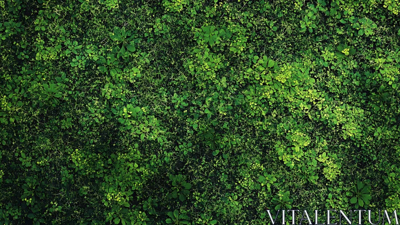 Dense Botanical Canopy: Layered Clover and Foliage Study.