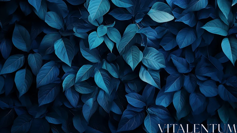 Monochromatic deep blue foliage texture with soft diffused lighting.