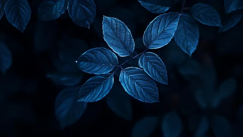 Single branch of compound leaves is illuminated in cool blue light