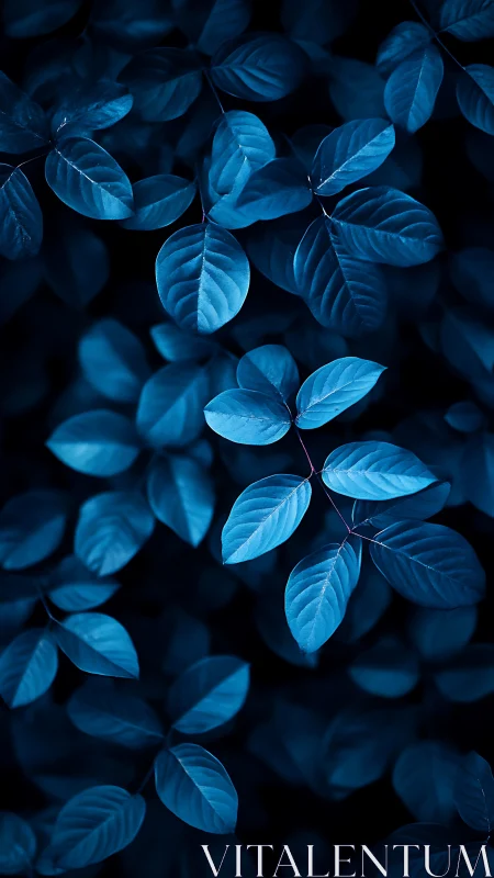 Midnight sapphire leaves drifting in a velvety forest hush.