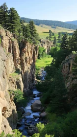 Rocky canyon with pine trees and winding mountain stream.